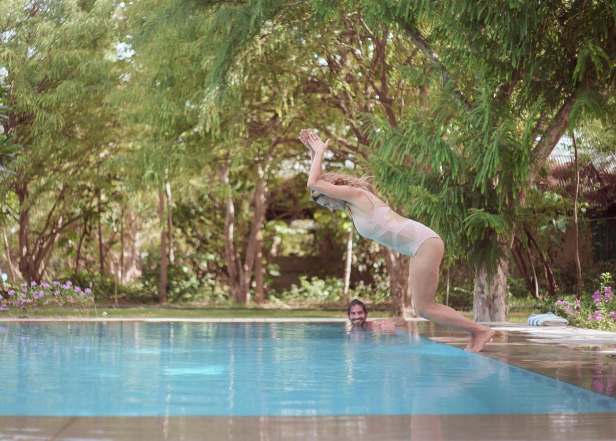 Pushkarorganic - Lux Farm Resort With Pool Exterior foto