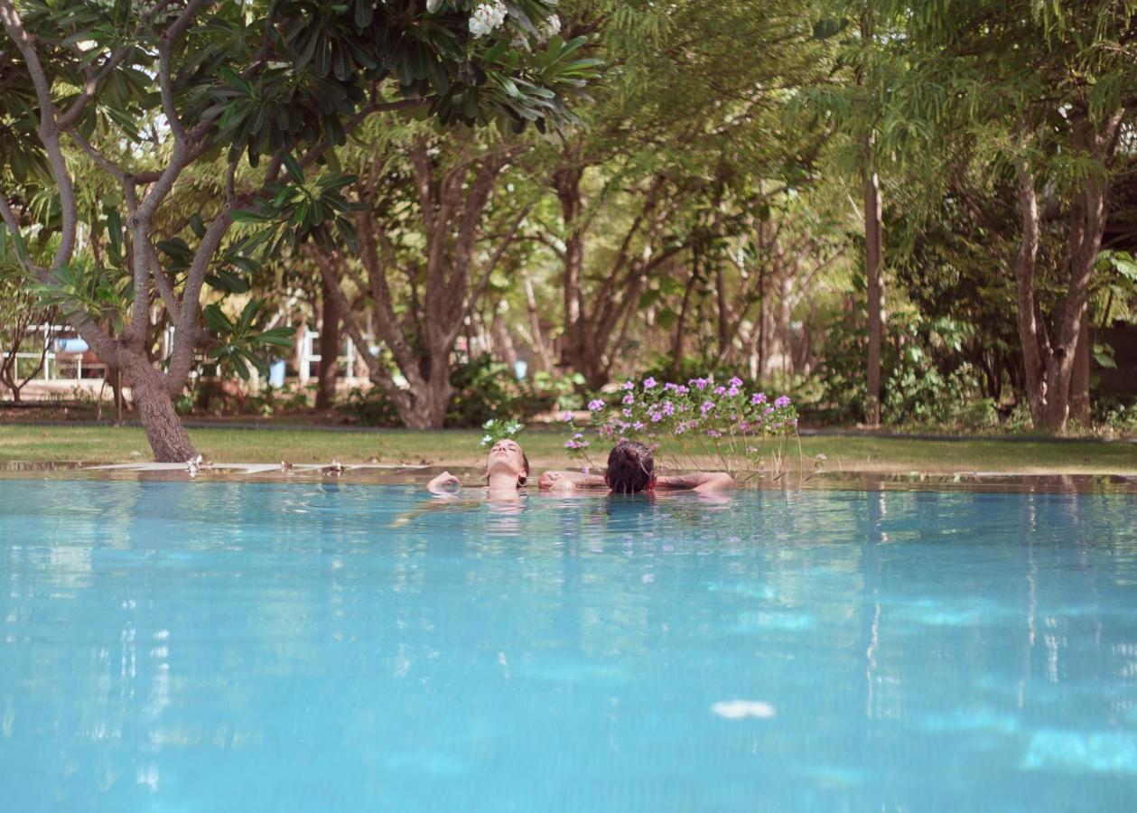 Pushkarorganic - Lux Farm Resort With Pool Exterior foto